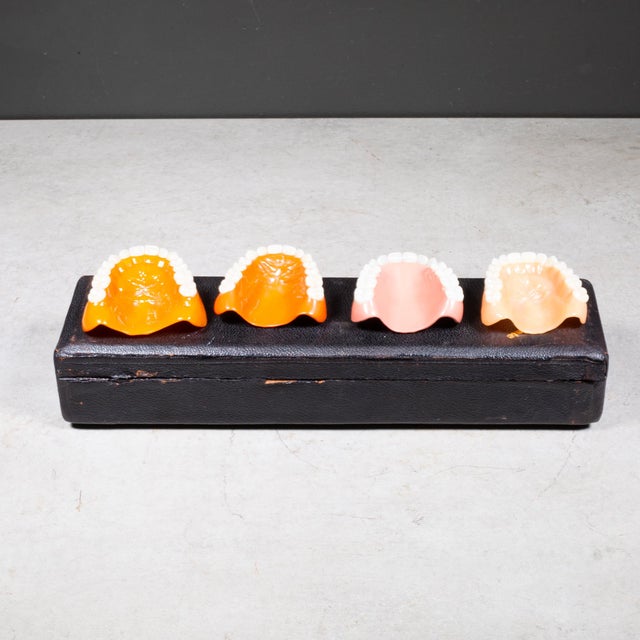 Animal Skin Mid-Century Dentists' Denture Mold Guide Kit c.1950 For Sale - Image 7 of 11
