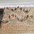 Couroc Monterey Fish Rocks Glasses Set of 8 With Tray, Mid Century Barware For Sale - Image 4 of 18