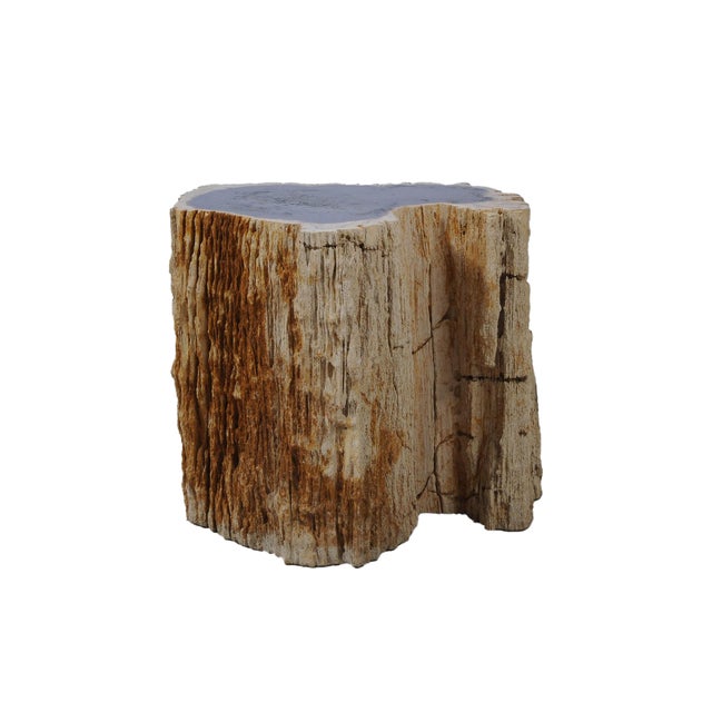 This distinctive petrified wood side table is carved from a solid fossilized tree trunk and is part of a set of two (see...