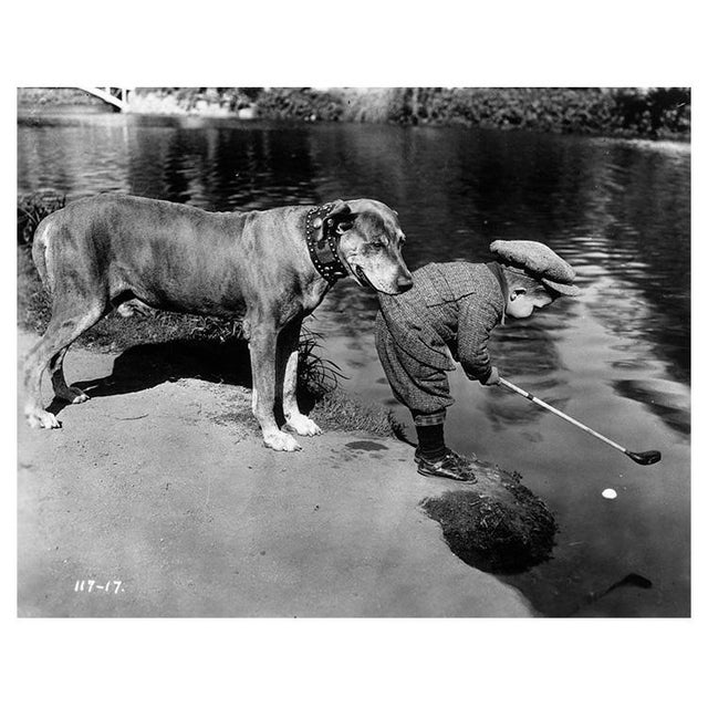 'Helpful Dog' Unframed Archival Pigment Print For Sale