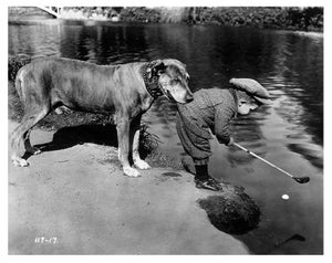 'Helpful Dog' Unframed Archival Pigment Print