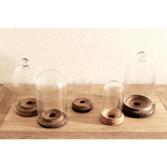 Wood French Handblown Glass Bell Jar Display with Wooden Stand Marking Arc De Triomphe, Paris, Set of 5 For Sale - Image 7 of 10