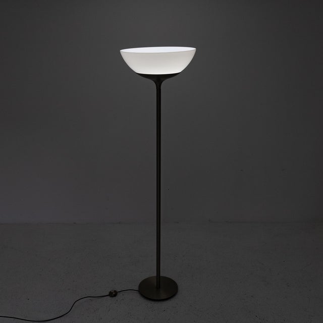 Aminta floor lamp for Artemide, designed by Emma Gismondi Schweinberger. Chromed brass luminator frame (light signs of...