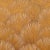 Schumacher Sample - Schumacher Fondale Fabric in Gold For Sale - Image 4 of 4