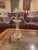 Vintage Glass Candelabra Crystal Clear Mid Century Candle Light Holder For Sale - Image 10 of 10