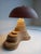 Pietro Meccani Fungus Lamp, 2023 for Meccani Design. Table lamp with oak structure and terminal element in salmon -colored...
