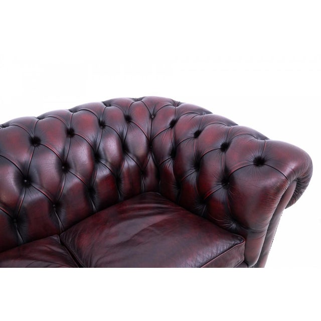 Mid-Century Chesterfield Sofa, Western Europe, 1950s For Sale - Image 6 of 12