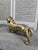 Bronze Dachshund Dog Sculpture with Polished Gold Finish For Sale - Image 13 of 14
