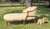 Antique Carved Louis XV Style Chaise Lounge Upholstered in Ivory For Sale In New York - Image 6 of 18