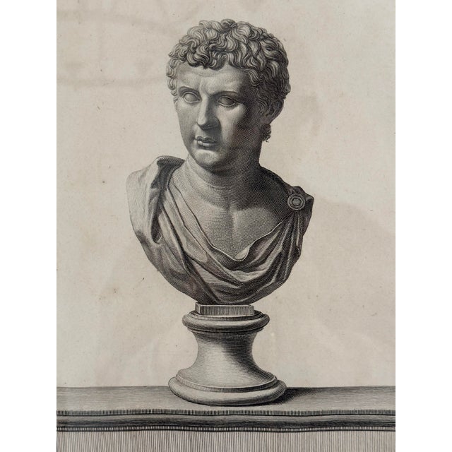 A pair of antique Neoclassical engravings depicting classical Roman busts, created by artists working within the Royal...
