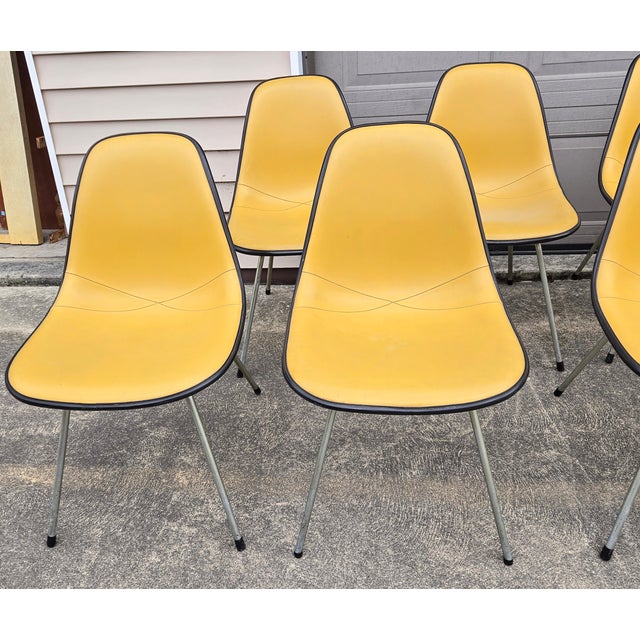 Black and Ochre Herman Miller Chairs- Set of 10 For Sale - Image 10 of 11