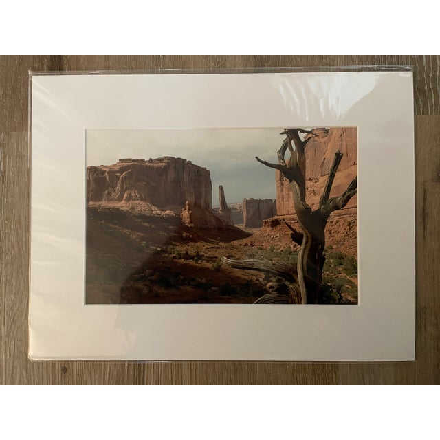 Abstract Lot of 3 New Orginal Color Matted Unique Photographs Signed by Robin Rebeck For Sale - Image 3 of 15