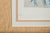 Dan Goad “Macaws” Signed & Numbered Limited Edition Bird Print, Framed For Sale - Image 4 of 13