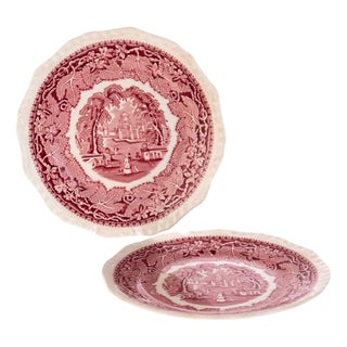 Antique Ceramic Vista Pattern Plates from Mason’s Ironstone, Set of 2 For Sale