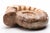 Contemporary Large Ammonite Fossil Unique Accent For Sale - Image 3 of 16