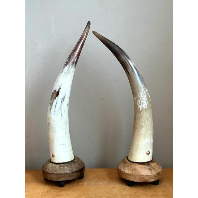 This pair of vintage accent lamps turns natural horn into sculpture, each piece sweeping upward in a long, tapering curve...