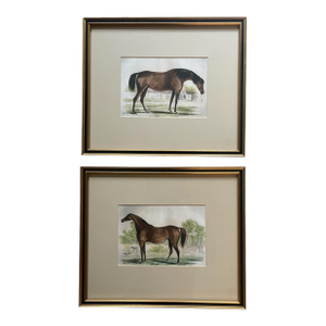 Equestrian Hand Colored Set of Prints - Set of 2