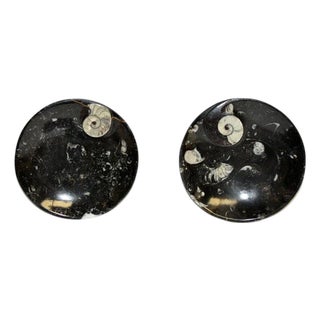 Pair Large Ammonite Plates Black White 6.25" Millions Years For Sale