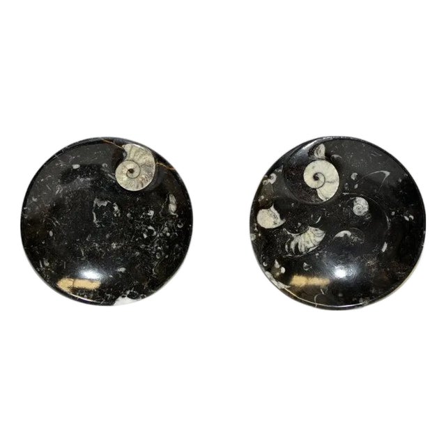 Pair Large Ammonite Plates Black White 6.25" Millions Years For Sale