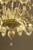 2020s Contemporary Champagne Venetian "Curls" Murano Blown Chandelier For Sale - Image 5 of 7