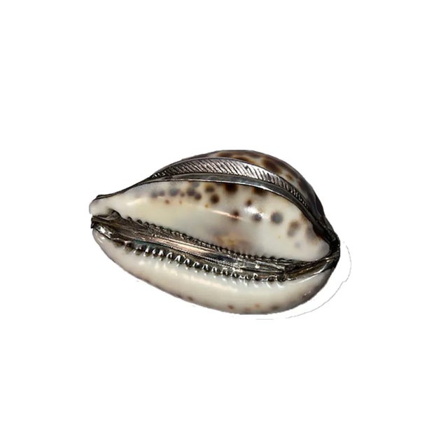 Shell Mid 19th Century Cowrie Shell Snuff Mull For Sale - Image 7 of 8