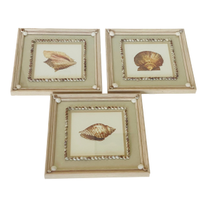 Vintage Sea Shell Framed Chromolithographs With Shell Encrusting Birder Reproduction - Set of 3