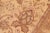 Tan Oriental Ziegler Tan Brown Hand-Knotted Wool Rug - 5'10'' X 9'10'' For Sale - Image 8 of 8