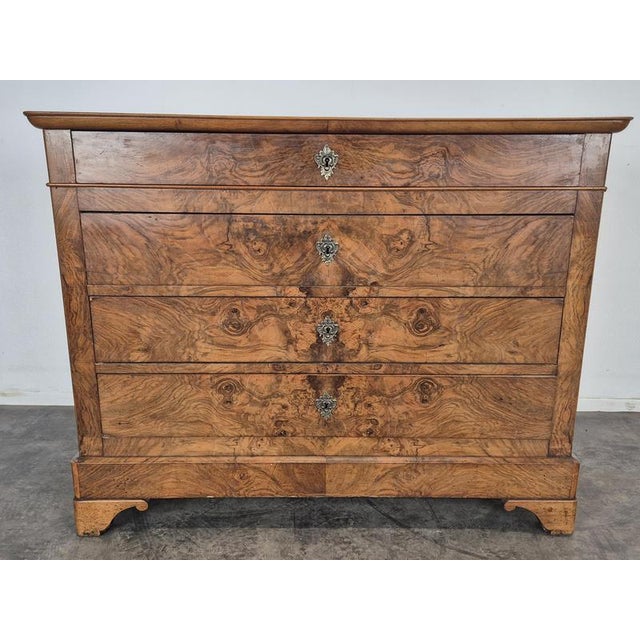Louis Philippe Style Chest of Drawers in Burr Walnut Veneer For Sale - Image 3 of 12