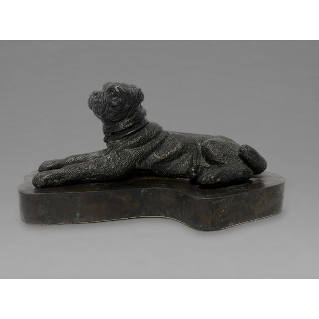 European Patinated Bronze Recumbent Pug, 19th Century For Sale In Providence - Image 6 of 9
