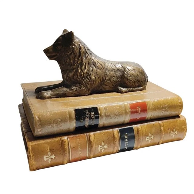 Vintage Sculpture ~ Bronze Wolf Lying on Top of a Book For Sale - Image 4 of 12
