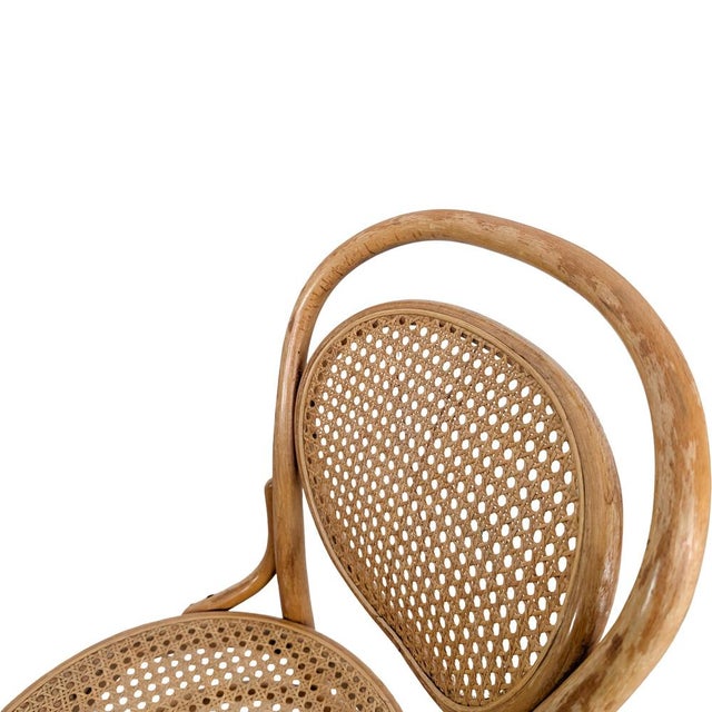 Wood Mundus Bentwood Chairs from J & J Kohn & Mundus, Set of 2 For Sale - Image 7 of 10