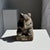 Small Balinese Limestone Frog Sculpture, 1980s For Sale - Image 10 of 10