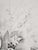 Mily Possoz, The Bouquet, Original Signed Engraving For Sale - Image 9 of 11