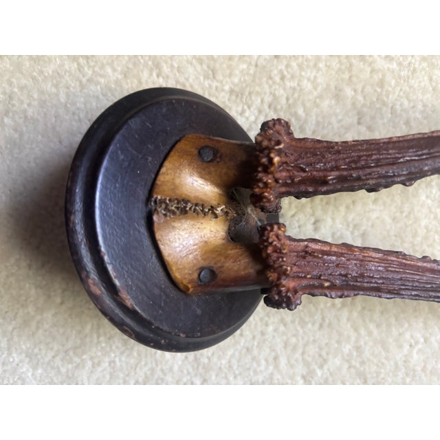 Mounted Roe Buck Antlers, Set of Five For Sale - Image 16 of 16