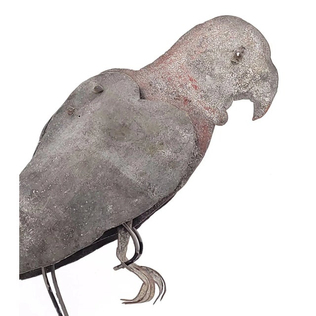 Tole Folk Art Parrot on Later Stand, Possibly French or French Colonial, Circa 1900 For Sale - Image 4 of 9
