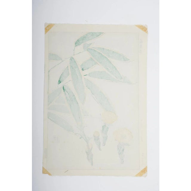 Vintage 1950's Japanese Woodblock Kawarazaki Shodoo Botanical Print For Sale In Seattle - Image 6 of 8