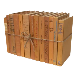 Decorative Books - Vintage Caramel Book Bundle - 1 Foot of Orange Brown Books