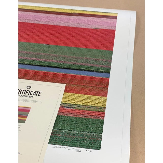 Green "AV_Tulip_Fields_036" Contemporary Aerial View Limited Edition Photograph by Bernhard Lang For Sale - Image 8 of 11