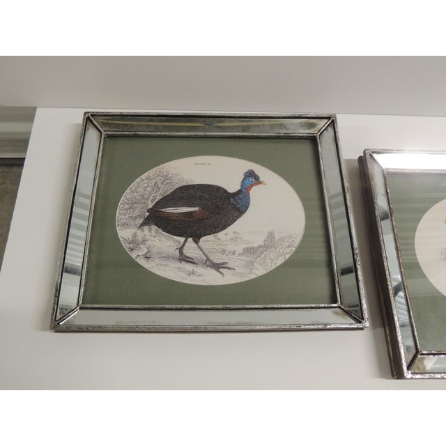 Vintage Resin Framed Prints of Guinea Fowls - Set of 2 For Sale - Image 4 of 6