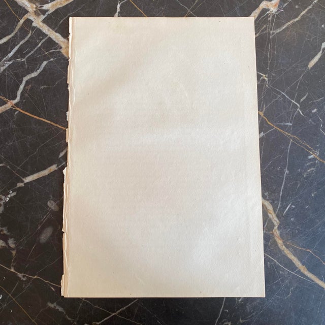 French Antique 18th Century Bird Engraving Hand Colored Signed Artwork For Sale - Image 4 of 4