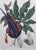 considered to be 'the most impressive botanical works of the period' by known art historian Anthony Blunt; new acid-free...