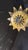 1940s French Gilt Metal Sunburst Flush Mount Light Fixture For Sale In New York - Image 6 of 7
