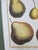 Vintage Hand Painted Botanical Lithograph Print Pears - Breant Sculp - L. B. Del - Matted For Sale - Image 9 of 13