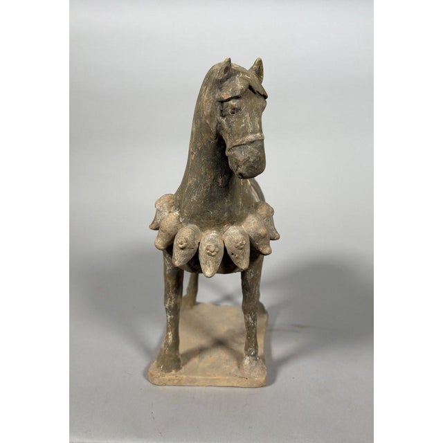 Sculpture of a Mingqi warhorse, China, Tang Dynasty (618-907) For Sale - Image 4 of 11