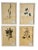 Vintage Set of 4 French Custom Framed Herbarium Herbier Botanical Specimens For Sale - Image 14 of 14