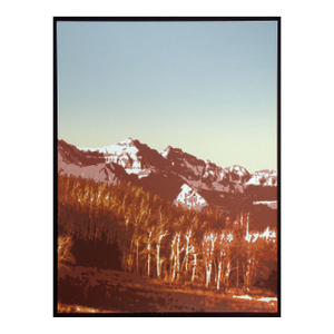 1980s Scott Nellis "Mountain Meadow Ii" Signed & Numbered Serigraph Aspen Trees