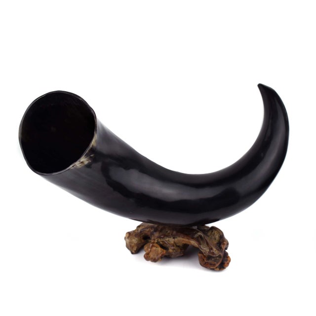 Wood Natural Oversized Buffalo Horn Mounted on a Wooden Base Sculpture For Sale - Image 7 of 12