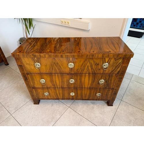 Biedermeier Chest of Drawers in Walnut For Sale - Image 12 of 15