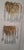 Vintage Wall Lamps with Gold-Plated Brass Brackets and Crystal Glass Drop Pendants, 1970s, Set of 2 For Sale - Image 3 of 9