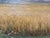 Modern Landscape Composition, Oil Painting on Cardboard, Framed For Sale - Image 3 of 11